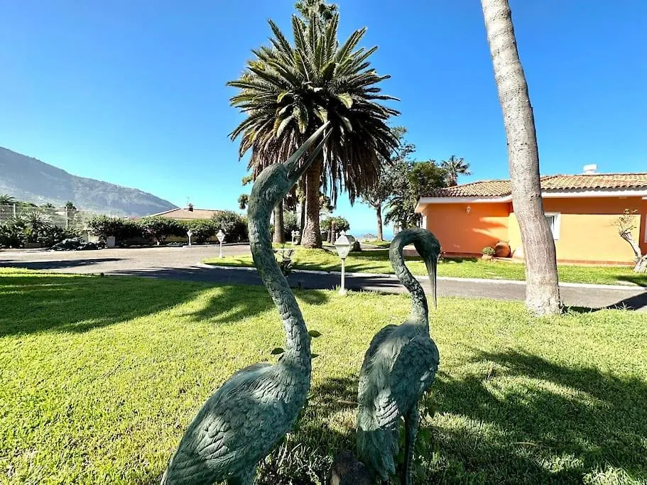 La Perla Exotica Villa Los Realejos