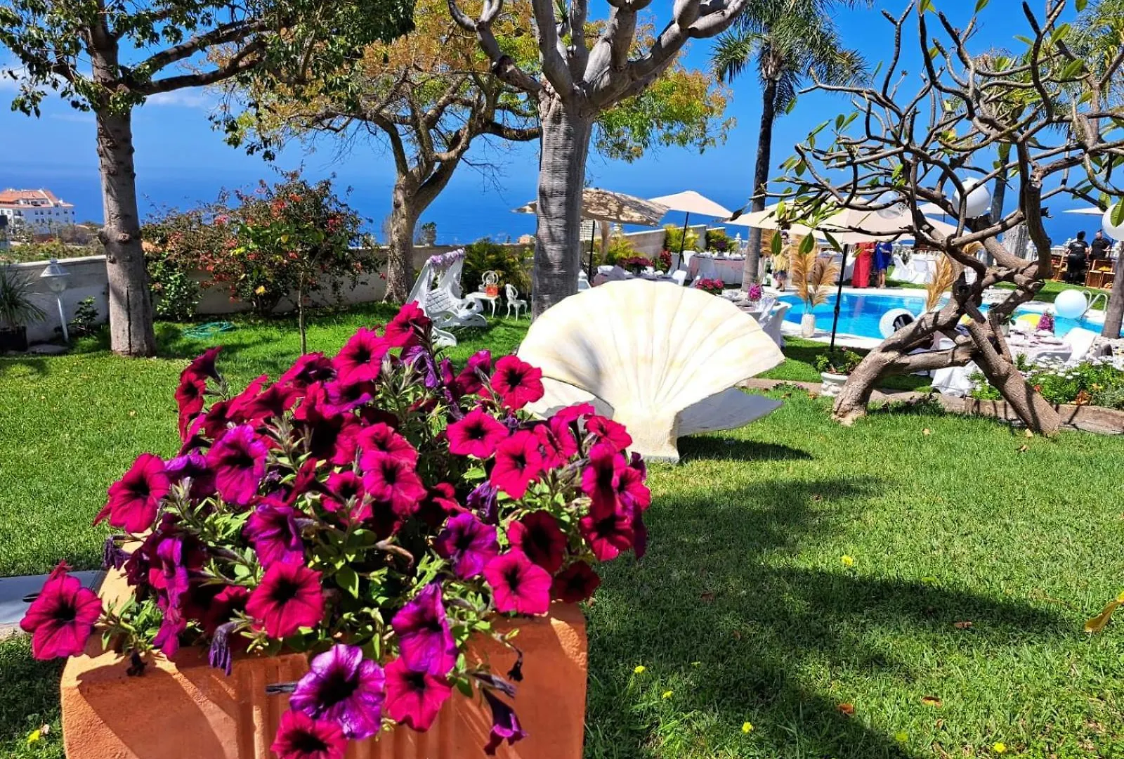 La Perla Exotica Villa Los Realejos Spain